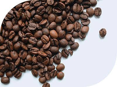 عربیکا و روبوستا چیست؟دلیل نامگذاری ؟